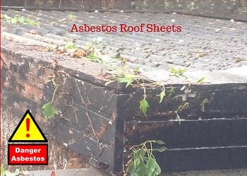asbestos garage roof removal